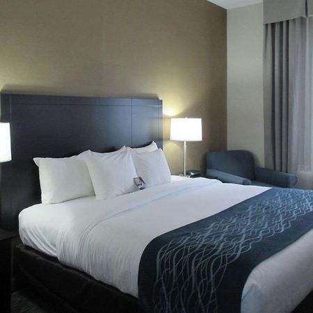 Comfort Inn Port Huron Kültér fotó